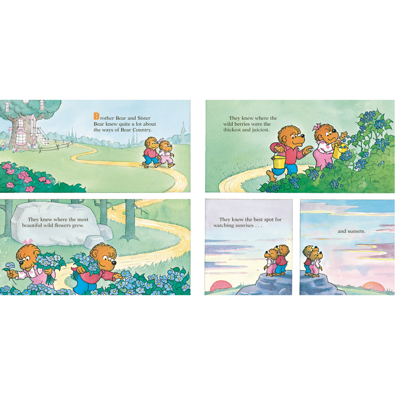 Let's Talk About Money (Berenstain Bears)