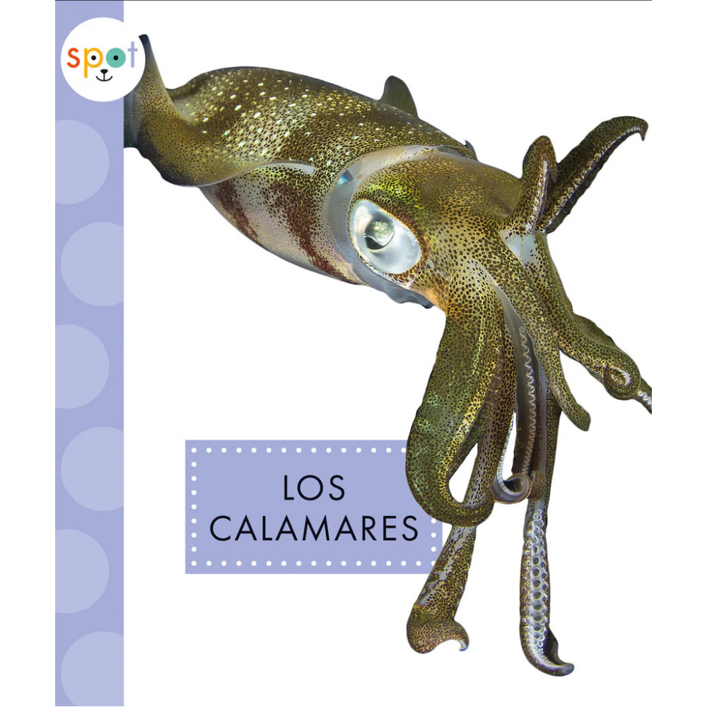 Los calamares