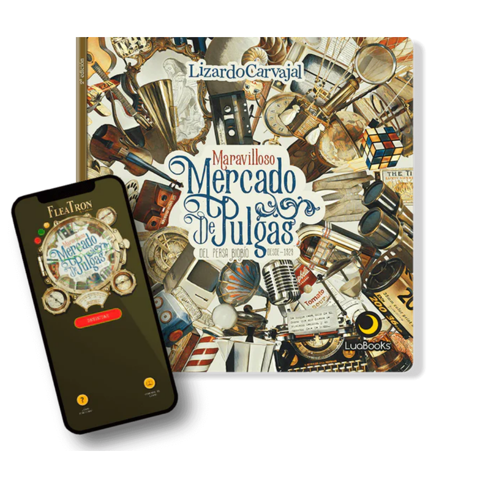 Maravilloso mercado de pulgas del Persa Biobio