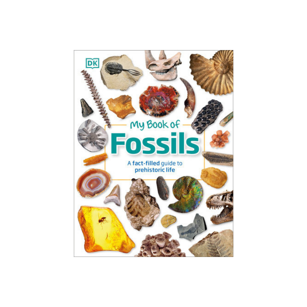 1st Grade, CKLA, Unit 7, The History of the Earth