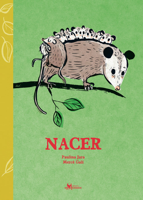 Nacer