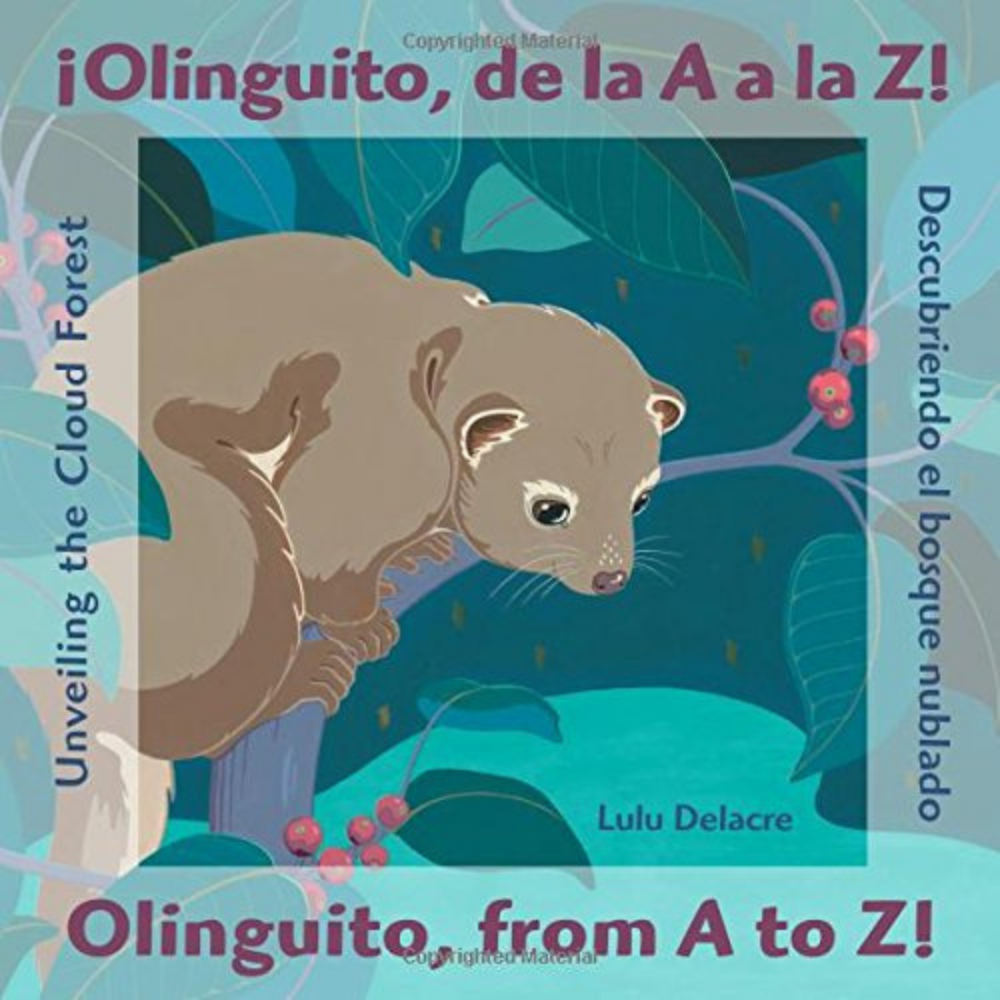 ¡Olinguito, de la A a la Z!  Descubriendo el bosque nublado