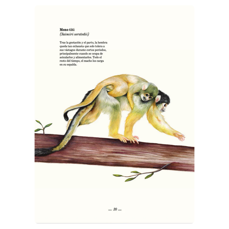 Papá animal