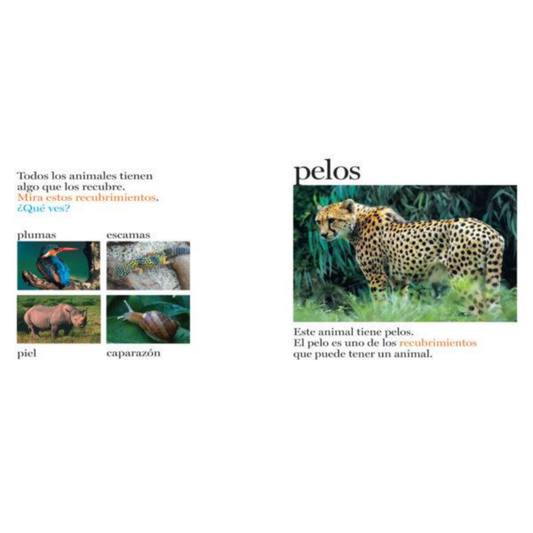 Pelos y más pelos