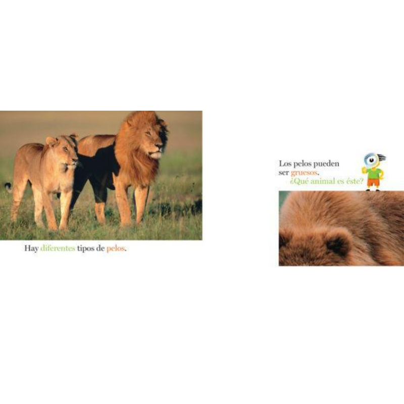 Pelos y más pelos