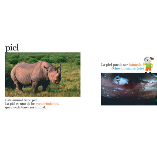 Pieles y más pieles