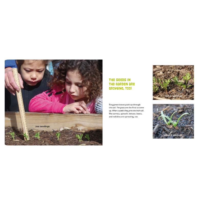 Planting A Garden In Room 6