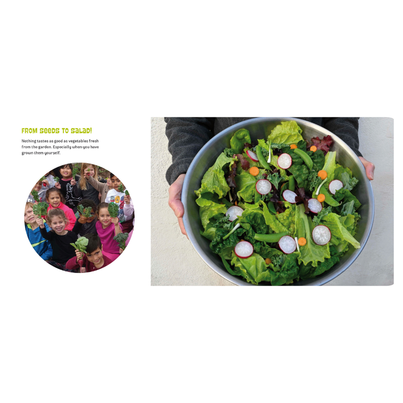 Planting A Garden In Room 6