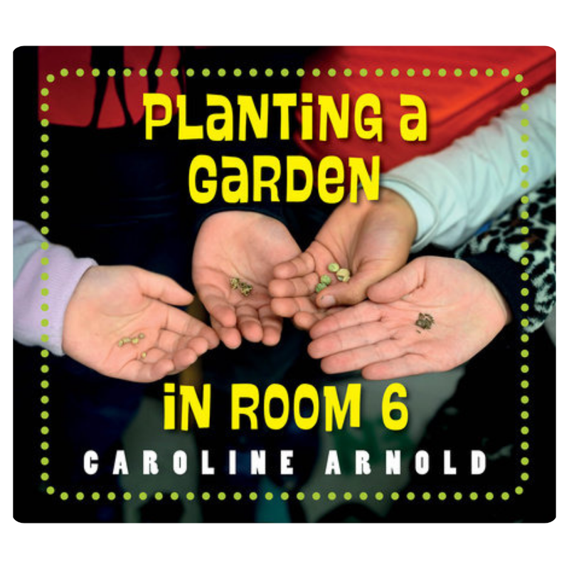 Planting A Garden In Room 6