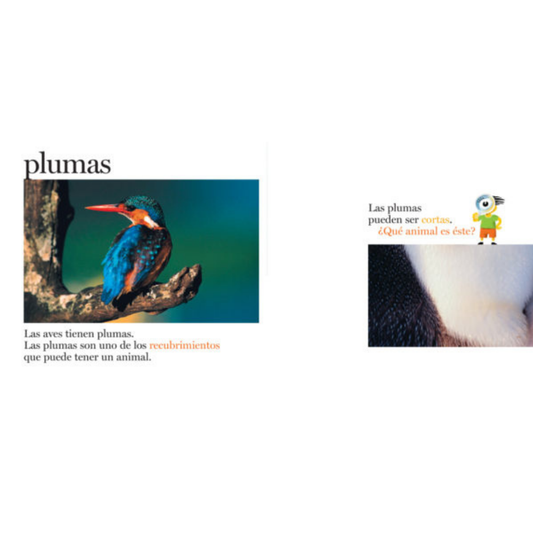 Plumas y más plumas