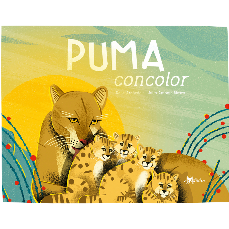 Puma concolor