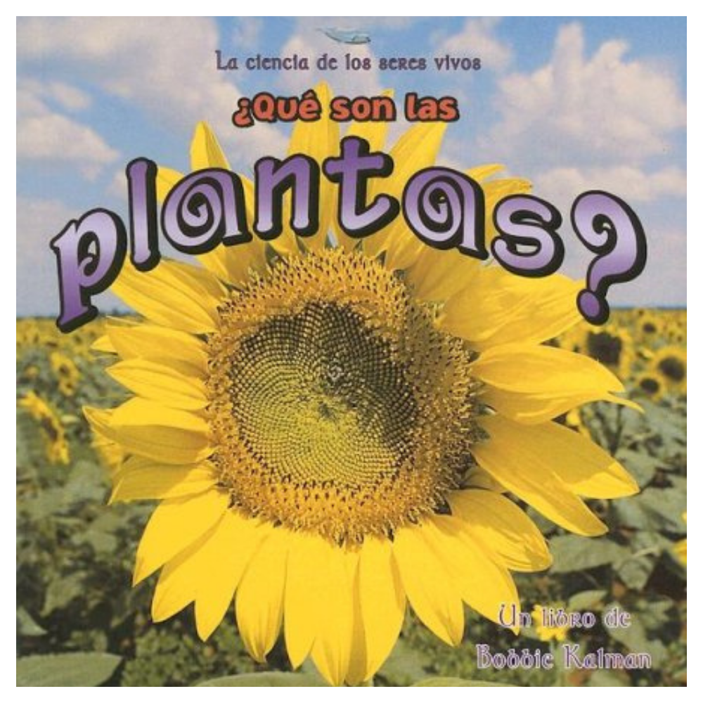¿Que son las plantas?