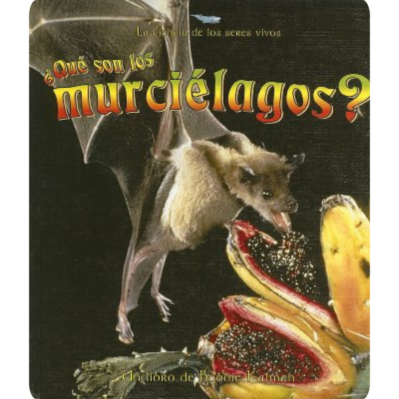 ¿Qué son los murciélagos?