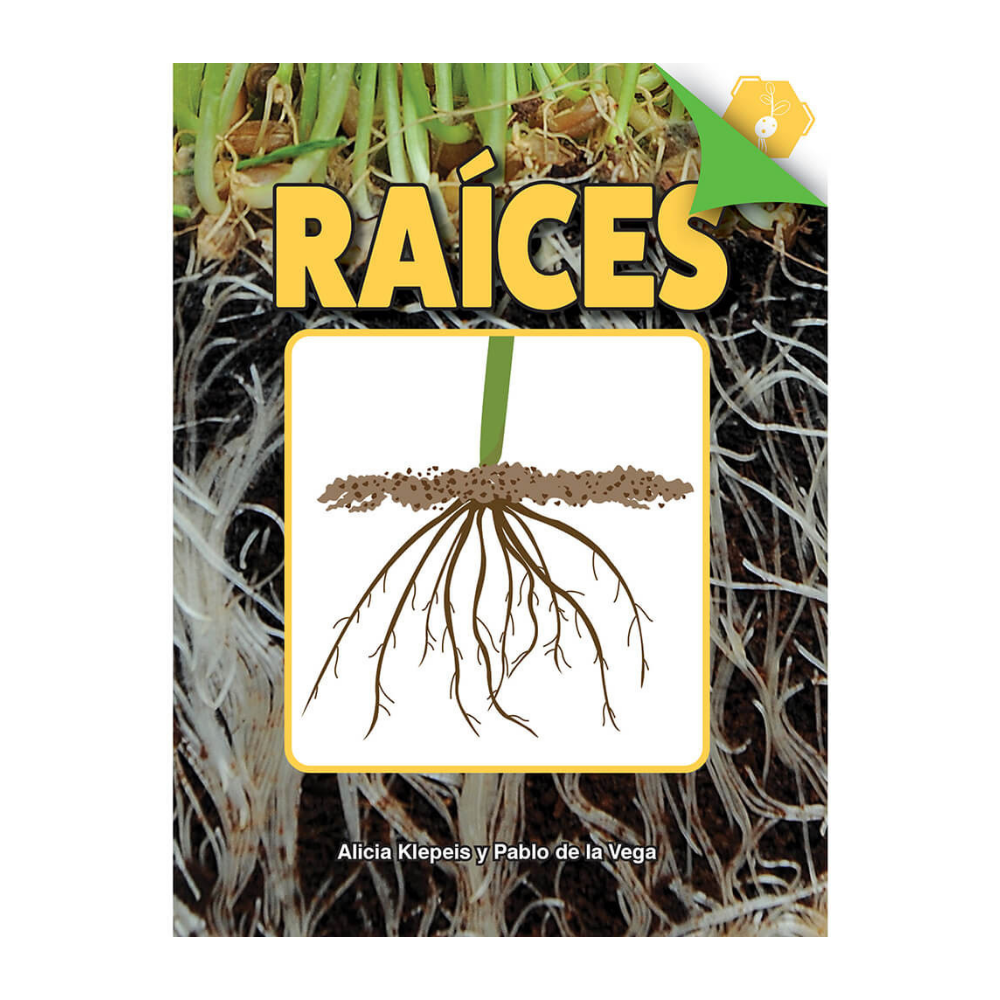 Raíces