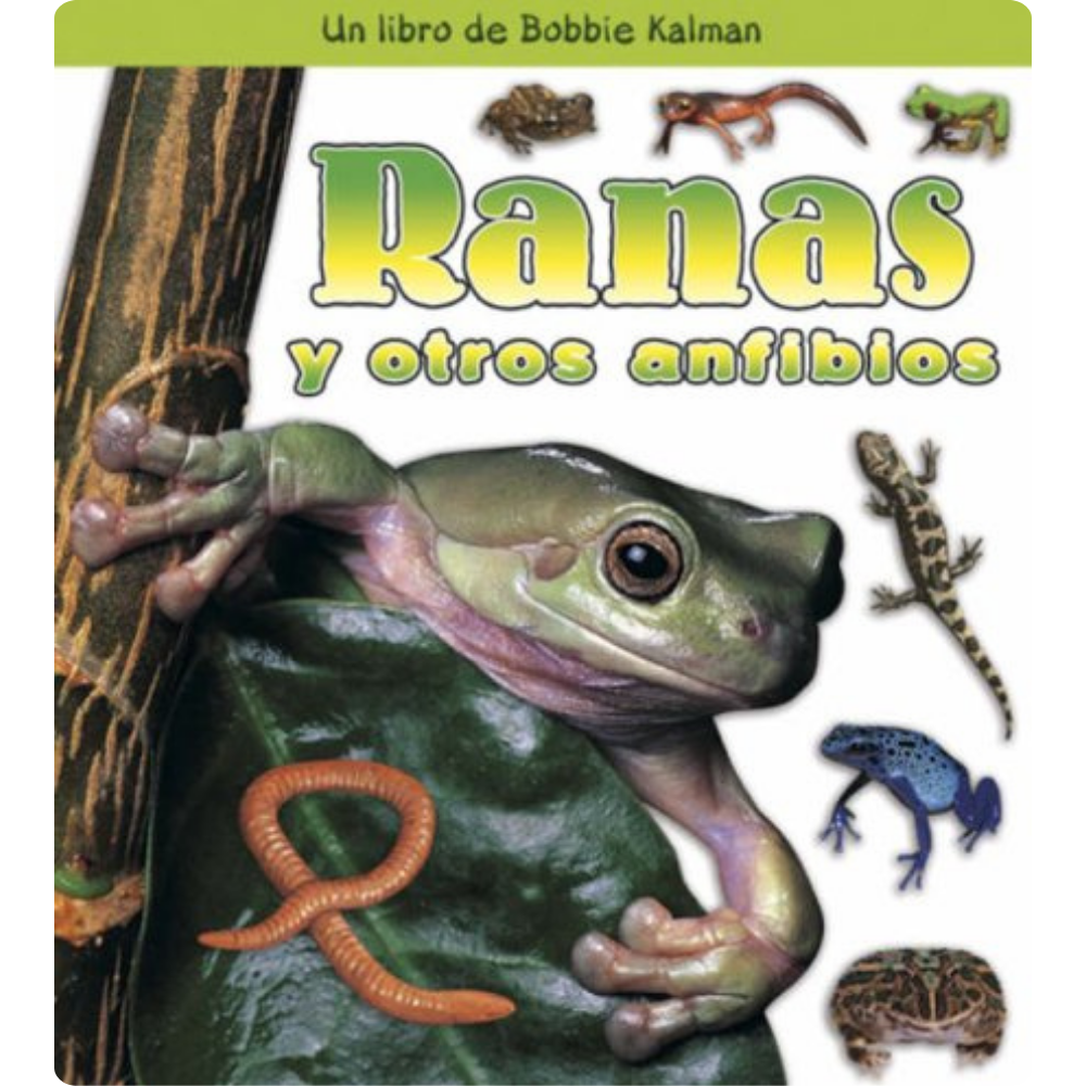 Ranas y otros anfibios
