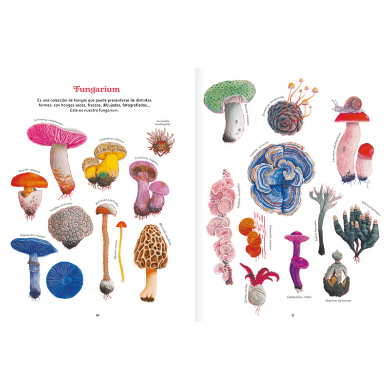 Reino Fungi. Mundo entrelazado