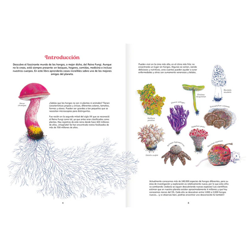 Reino Fungi. Mundo entrelazado