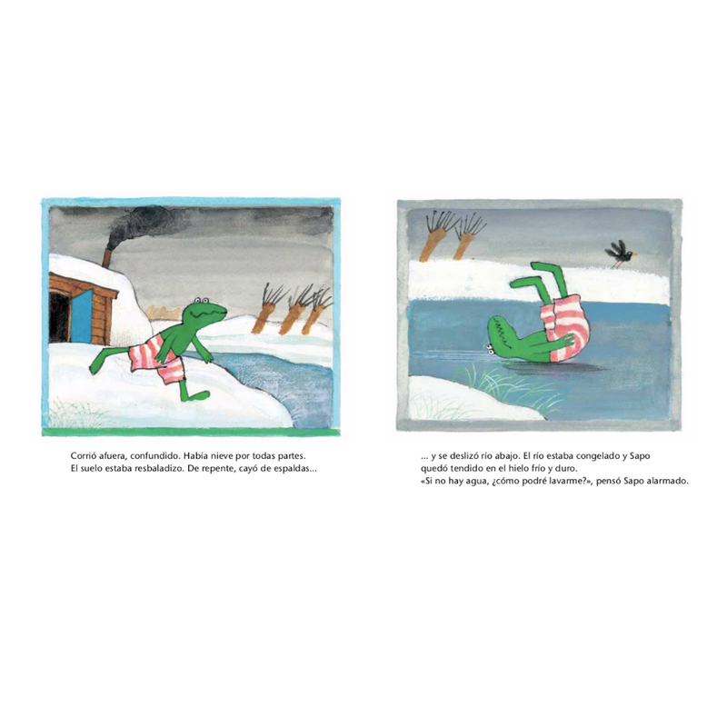 Sapo en invierno (NE)