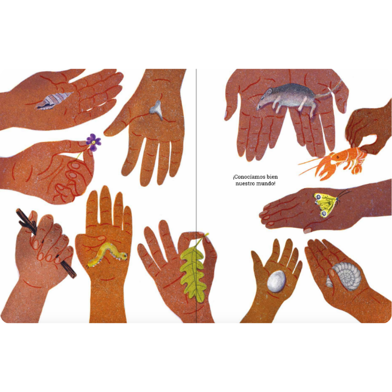 Somos animales humanos