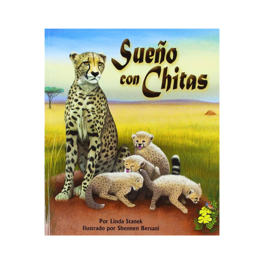Sueño Con Chitas — Linda Stanek