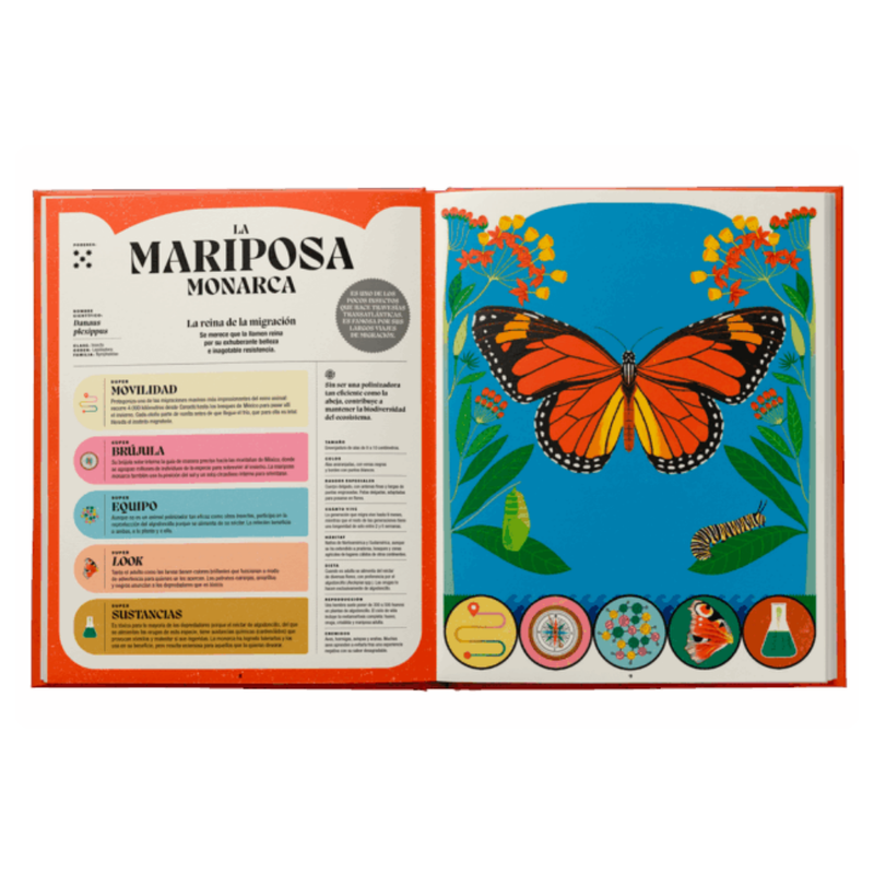 Superpoderes de los insectos