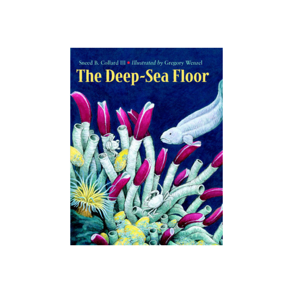 The Deep-Sea Floor
