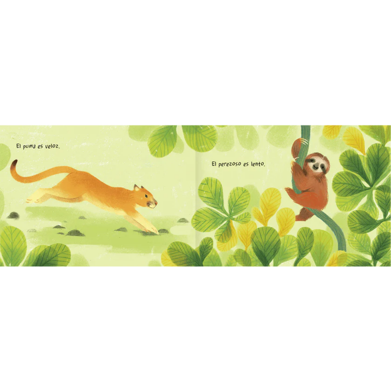 Tierra animal