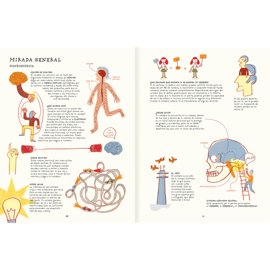 Tu cerebro es genial