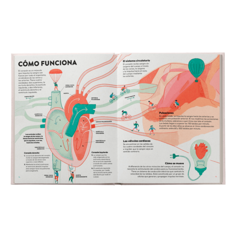Un corazón. Historia, ciencia y mucho amor