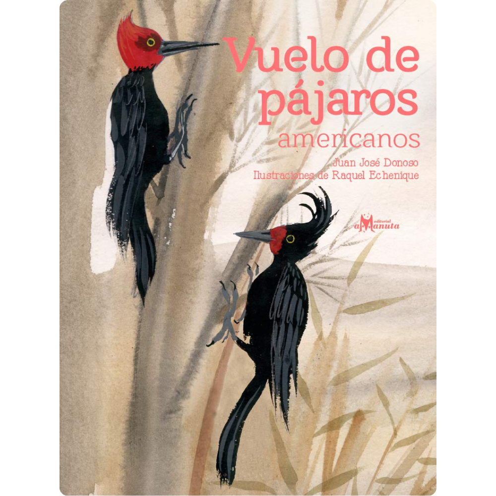 Vuelo de pájaros americanos