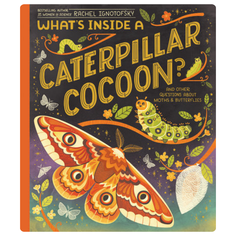 What's Inside A Caterpillar Cocoon?
