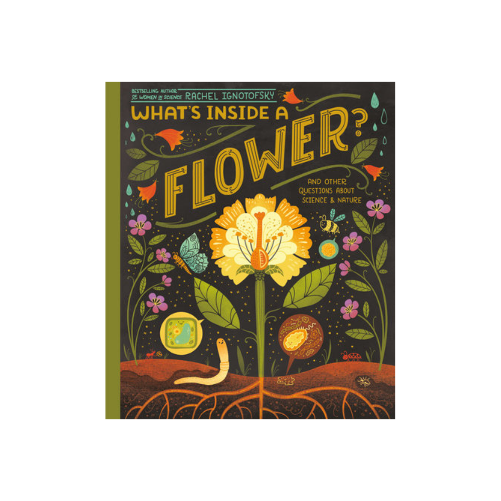 What's Inside a Flower? — Rachel Ignotofsky