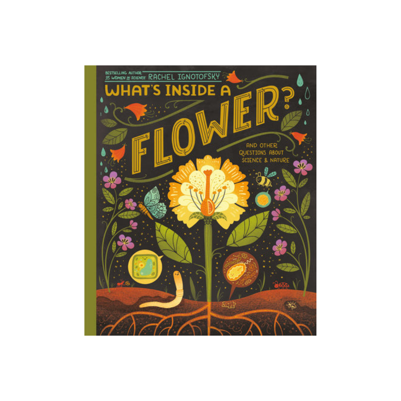 What's Inside a Flower? — Rachel Ignotofsky