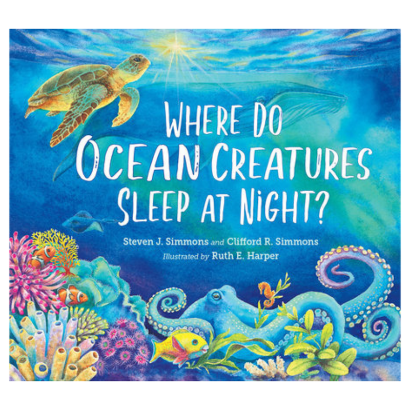 Where Do Ocean Creatures Sleep At Night?