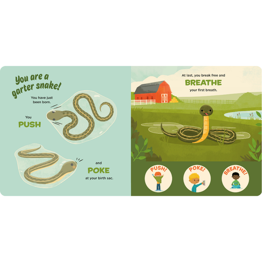 You Are A Garter Snake