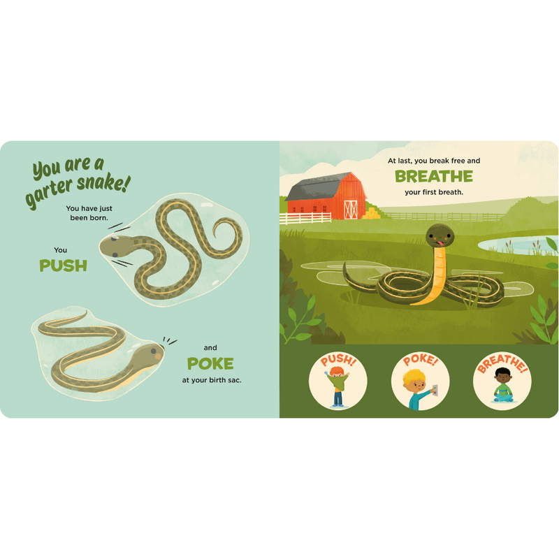 You Are A Garter Snake