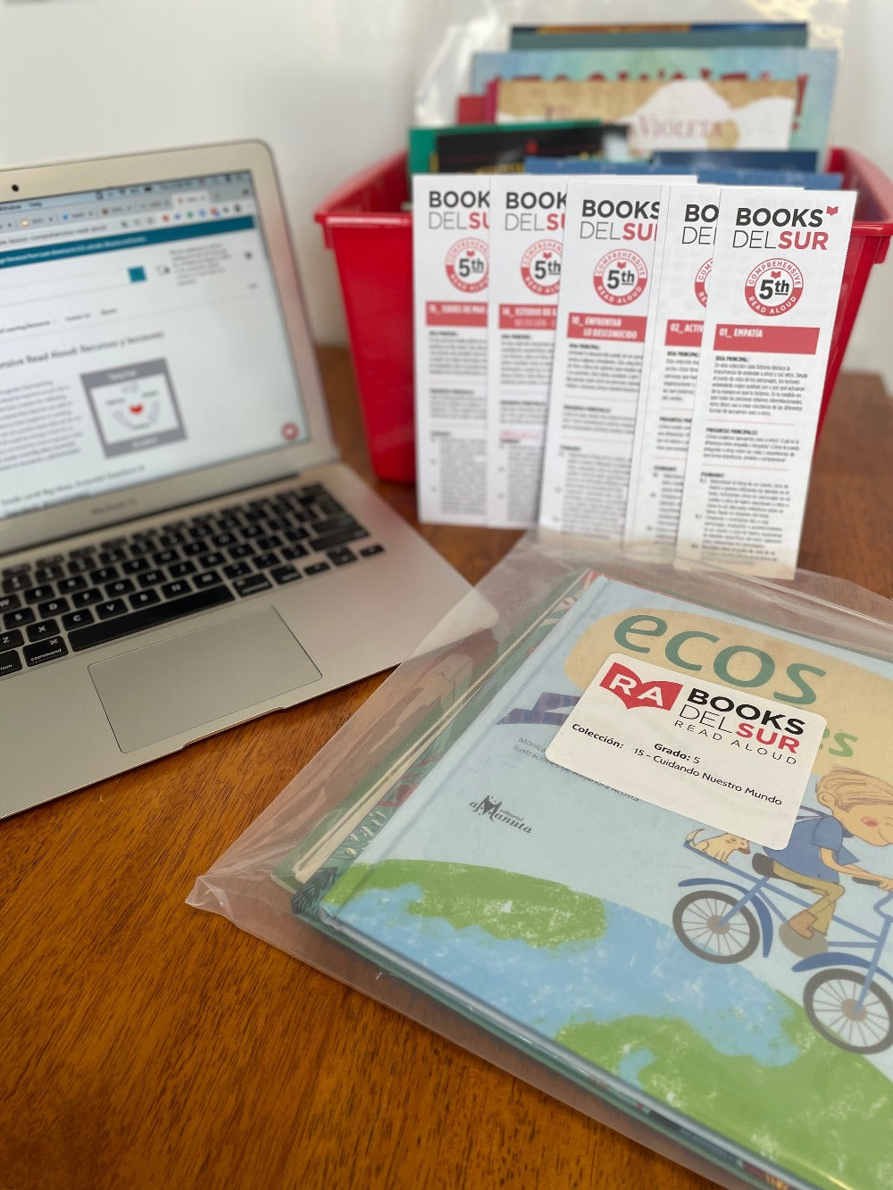 Photo of a desktop with a laptop, five Books Del Sur brochures leaning against a red bucket of books, and a pack of read aloud books.