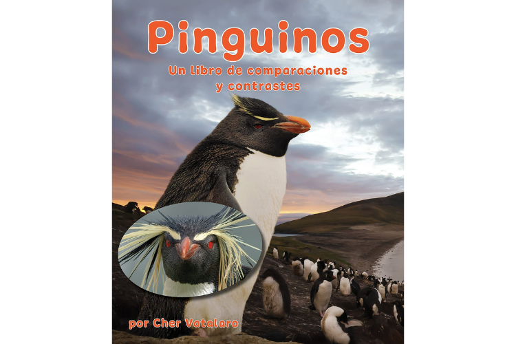 Book cover of Pinguinos un Libro de Comparaciones y Contrastes with a photograph of a flock of penguins.